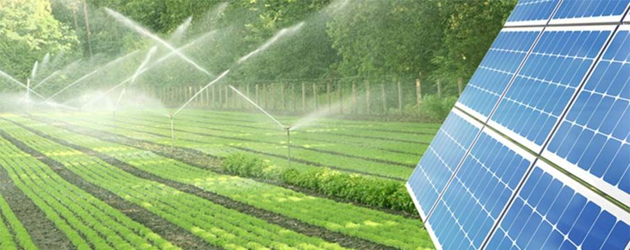 Tarımsal Sulama Projelerinde Güneş Santrallerinin Katkısı Nedir?